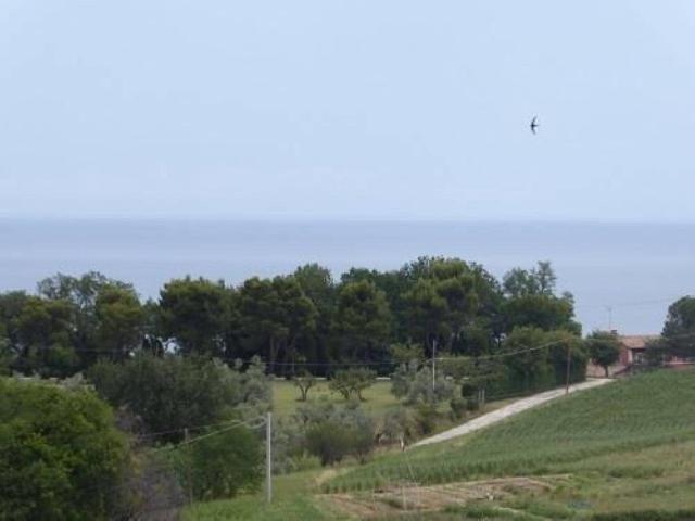 Villa in Strada Comunale Nuova di Roncosambaccio S.N.C., Fano - Foto 1