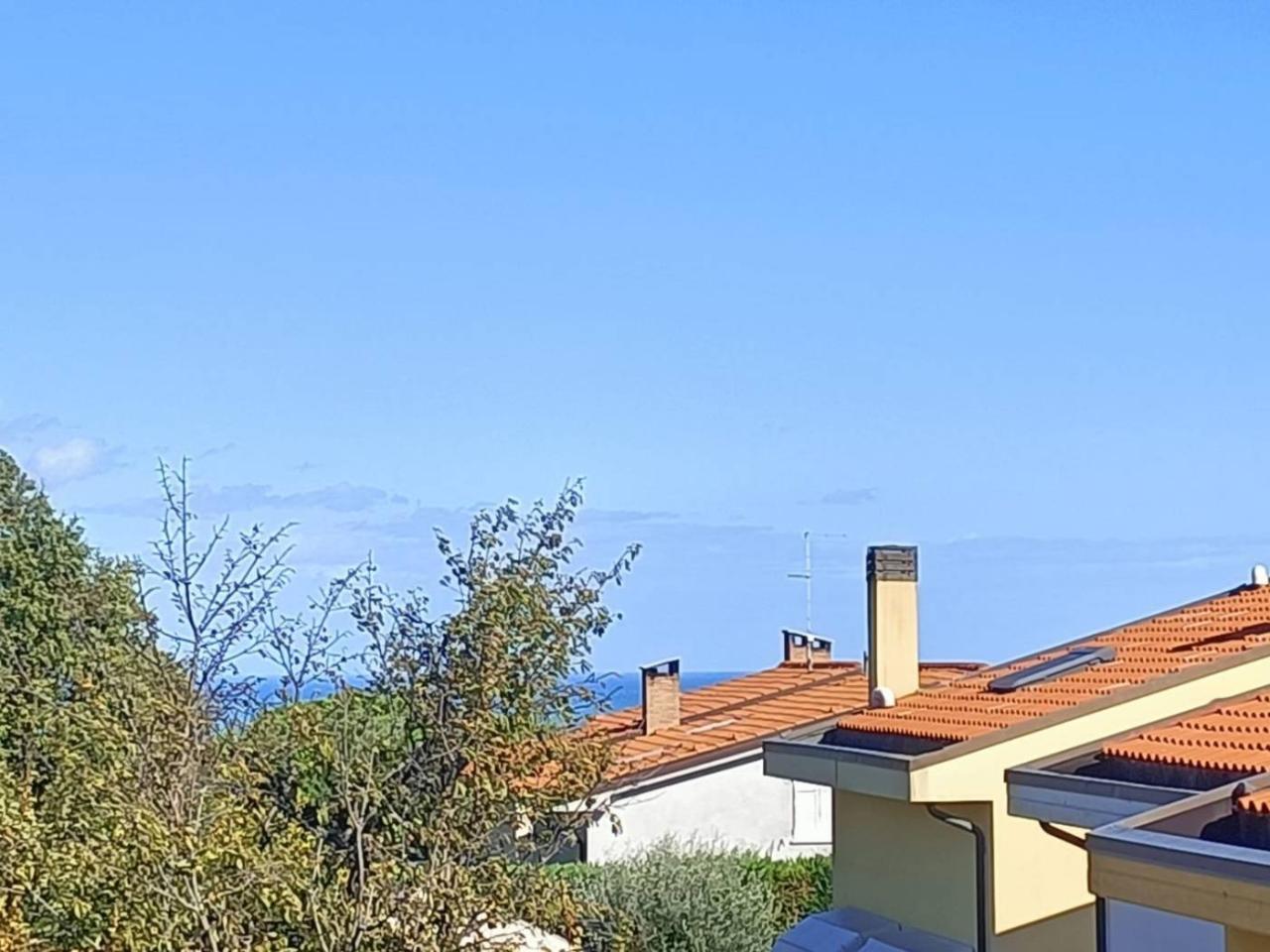 immagine annuncio 4 di 8