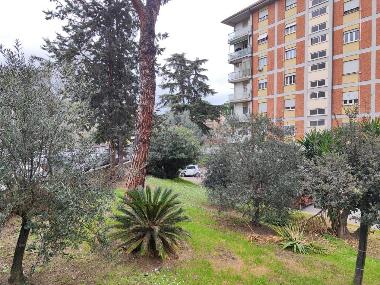 immagine annuncio 5 di 11