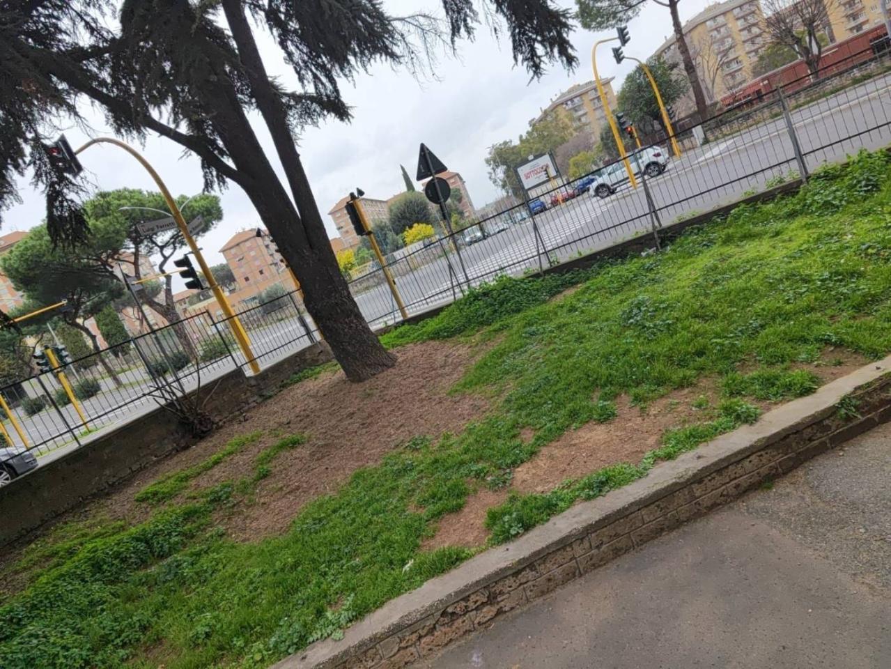immagine annuncio 10 di 11