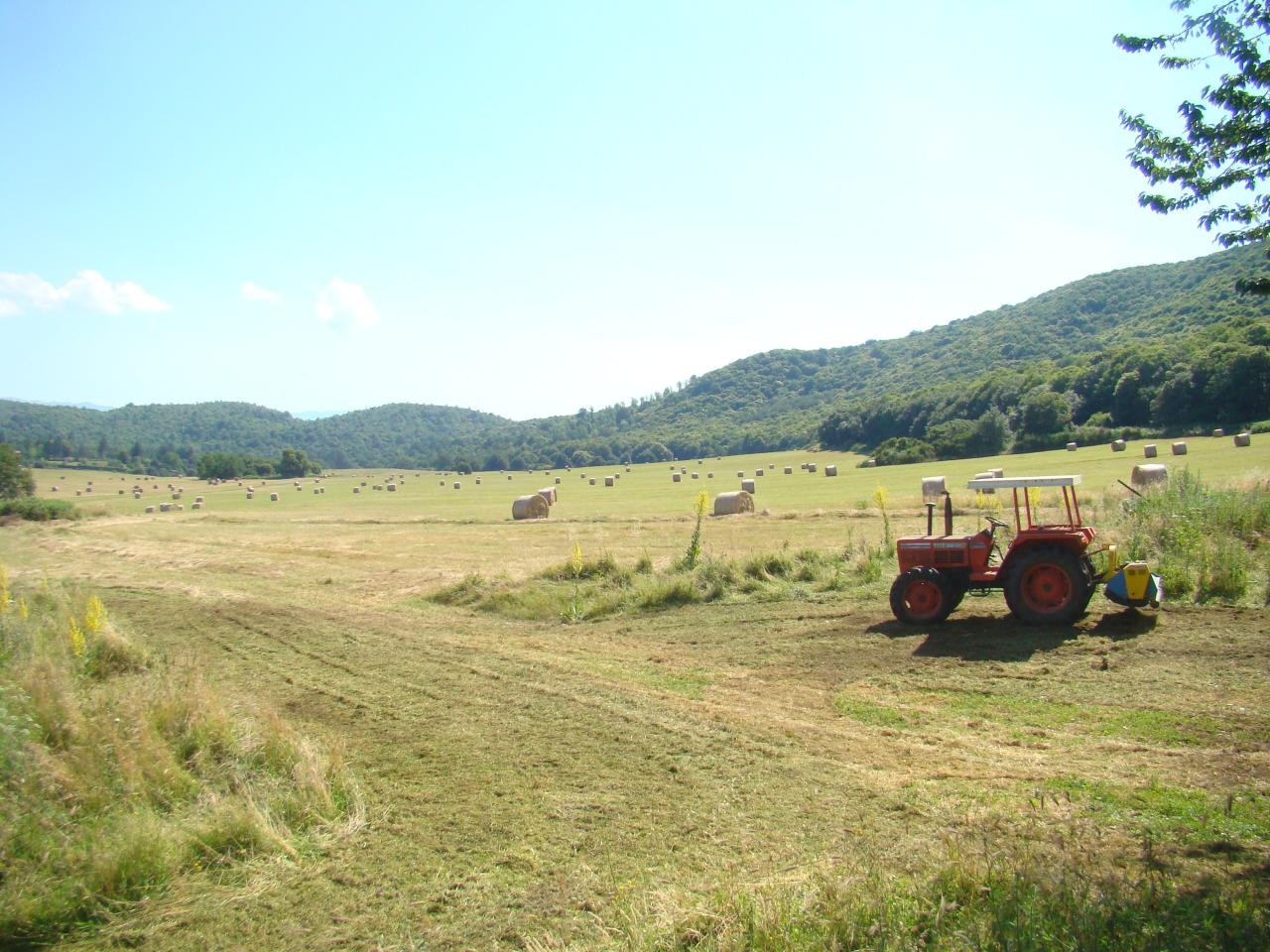 Terreno agricolo in vendita a Rocca Di Papa