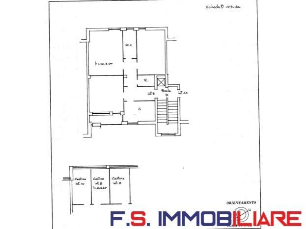 immagine annuncio 14 di 15