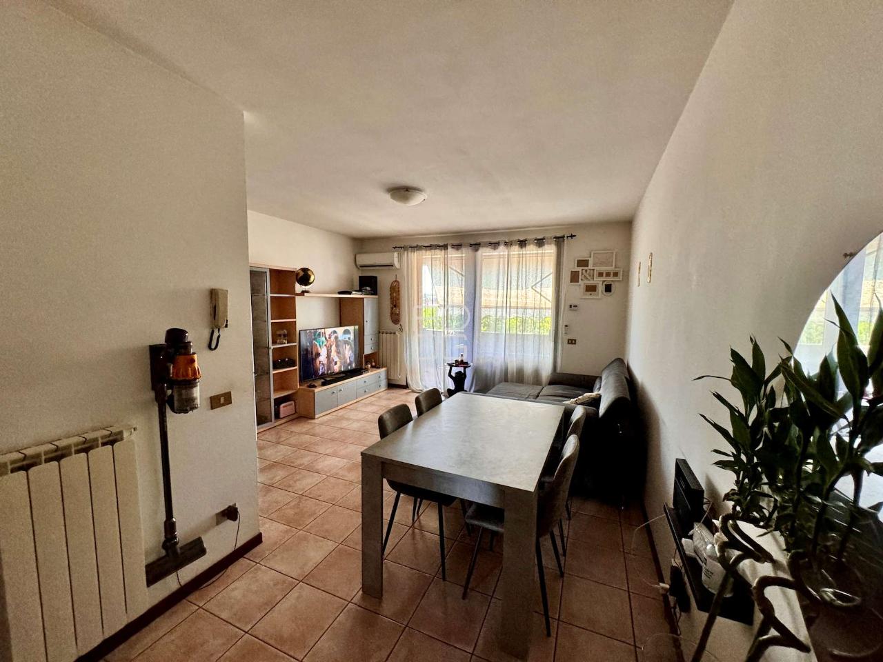 immagine annuncio 3 di 12