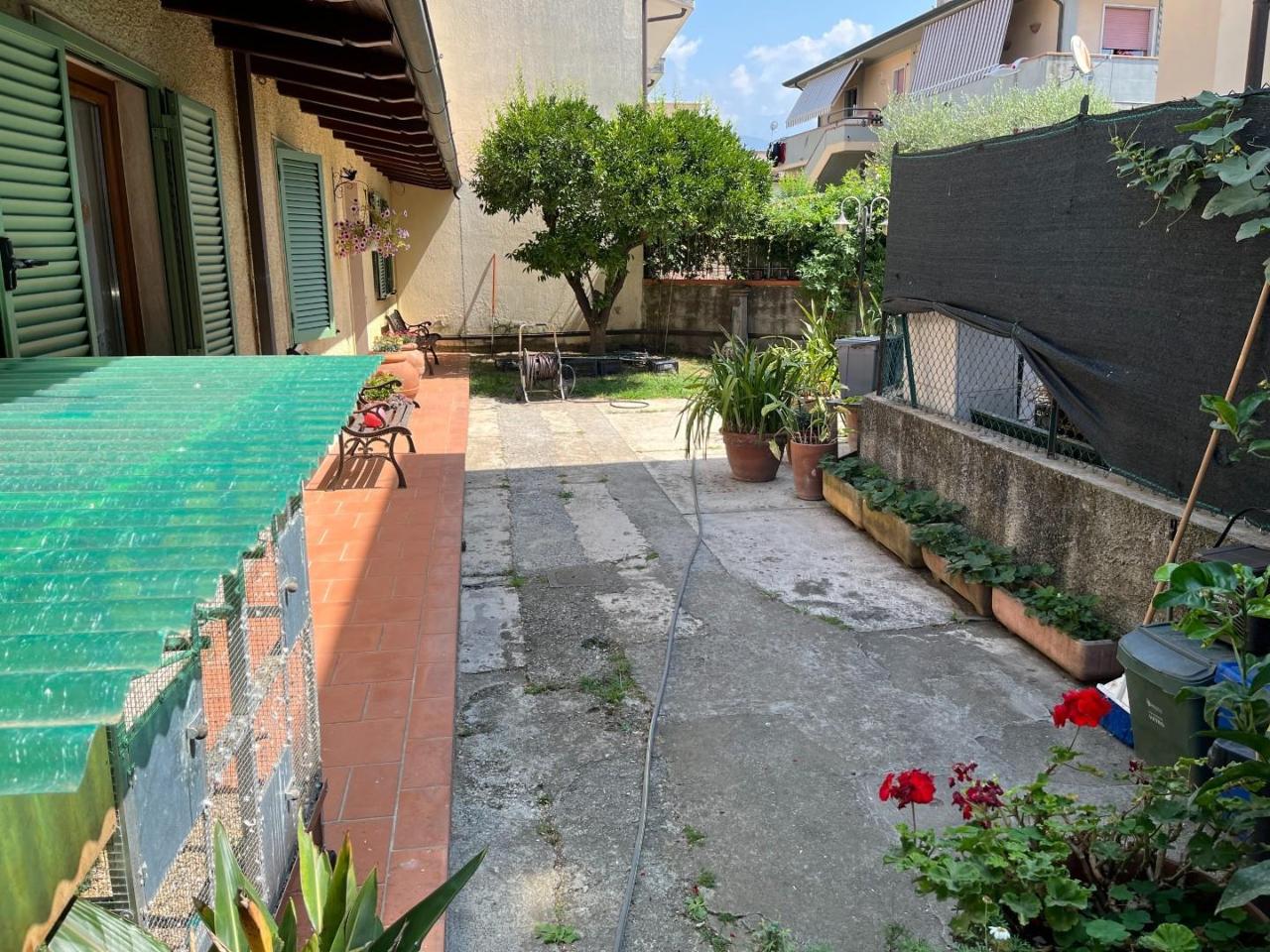 immagine annuncio 6 di 15