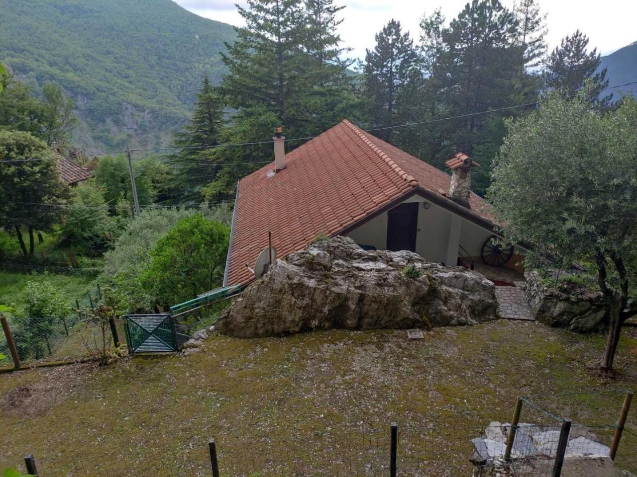 immagine annuncio 14 di 15