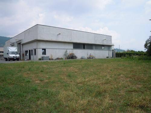 Industrial shed in Via Roma 116, Grumello del Monte - Photo 1