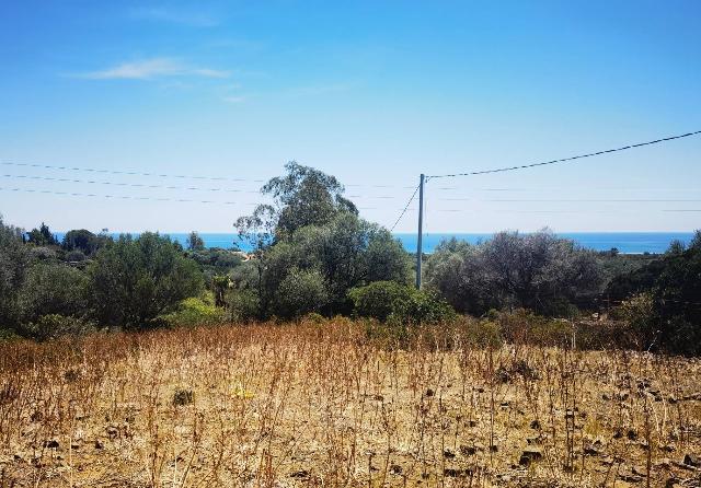 Agricultural land in {3}, Strada Statale Orientale Sarda - Photo 1