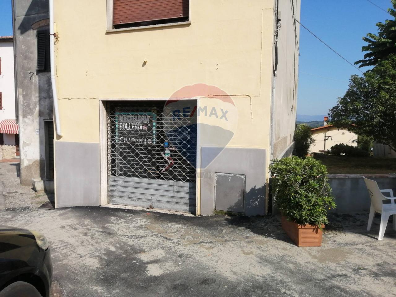 Negozio in Via di Tiglio 731, Capannori - Foto 1