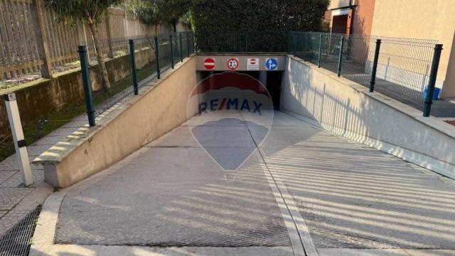 insertion image