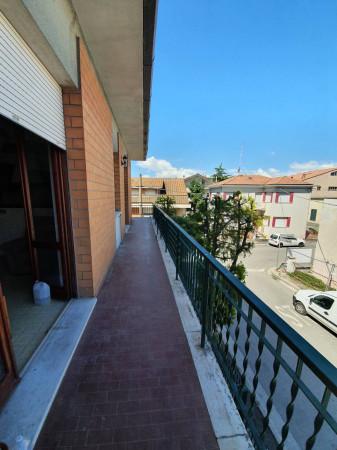 immagine annuncio 10 di 14