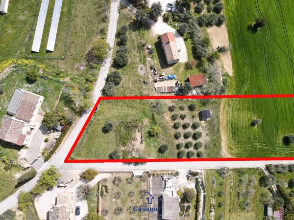 immagine annuncio 3 di 11