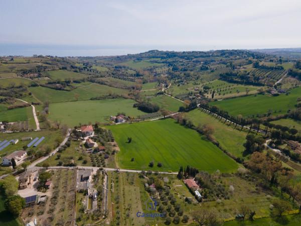 immagine annuncio 7 di 11