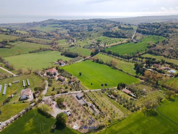 immagine annuncio 6 di 11