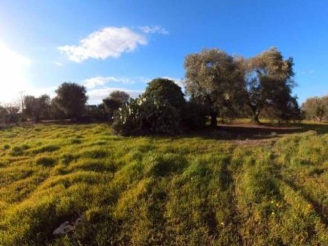 Apartament in Via Sp22 S.N.C, Ostuni - Photo 1