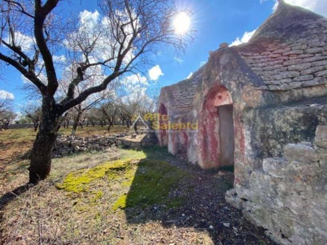 Vierzimmerwohnung in ., Ostuni - Foto 1