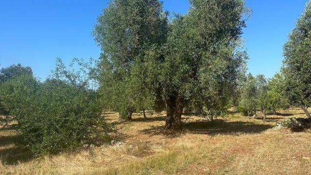 Terreno edificabile in {3}, Contrada Pezza di Ferro 7 - Foto 1