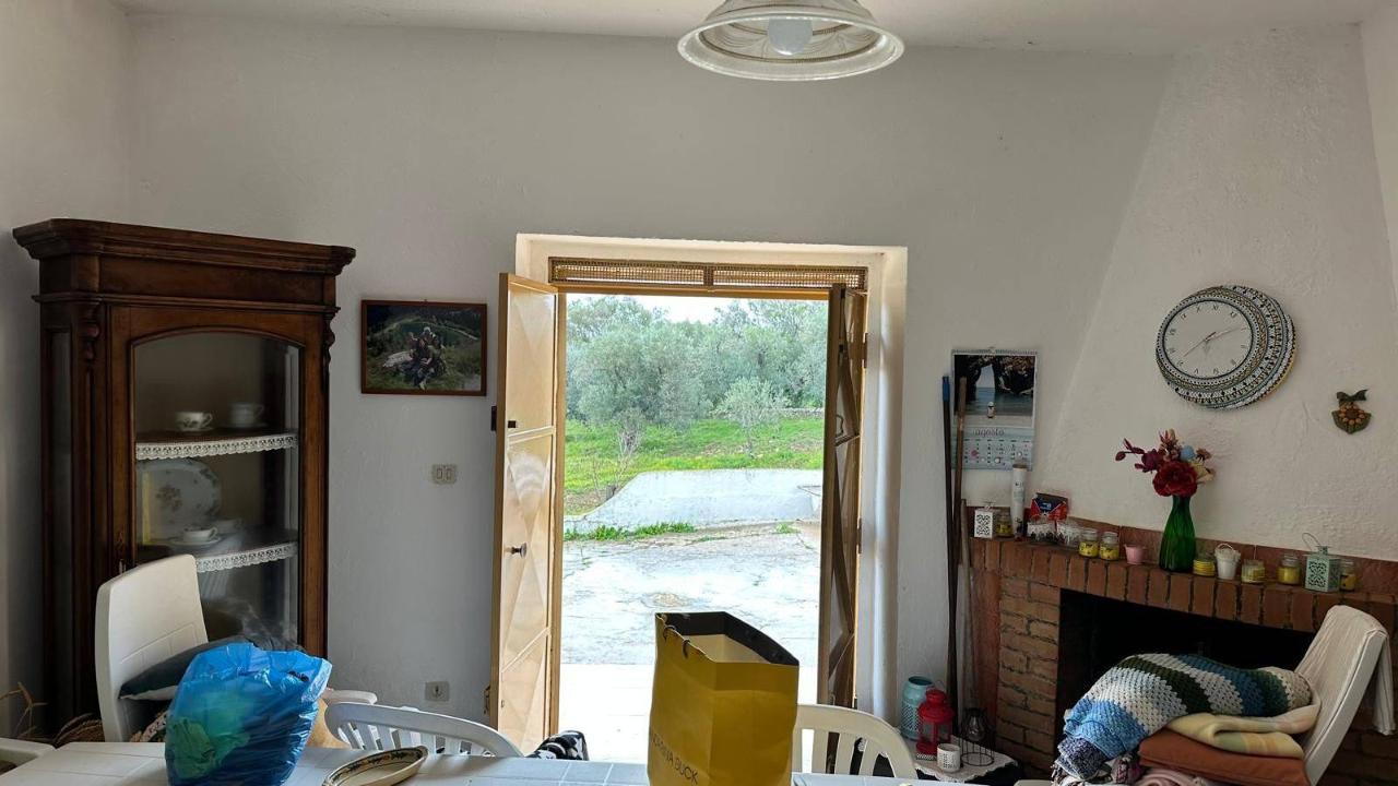 immagine annuncio 12 di 13