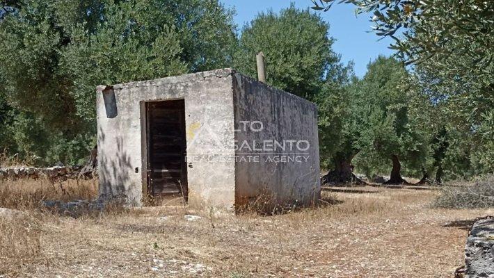 immagine annuncio 8 di 15