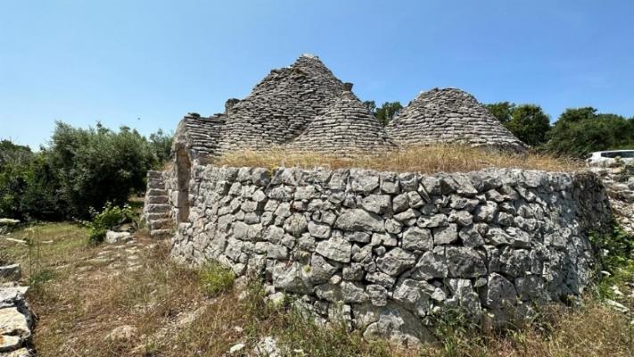 immagine annuncio 8 di 14