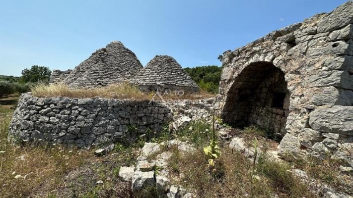 immagine annuncio 3 di 14