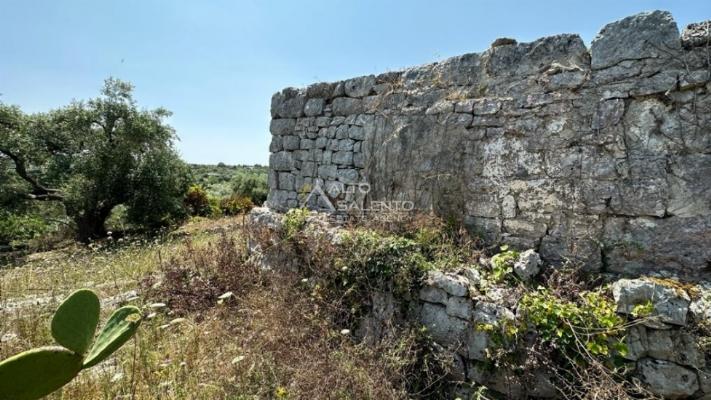 immagine annuncio 6 di 14