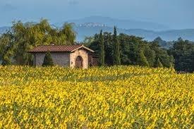 Dreizimmerwohnung, Vicchio - Foto 1