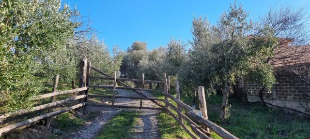 Villa in Via del Casaletto Rosso, Civitavecchia - Foto 1