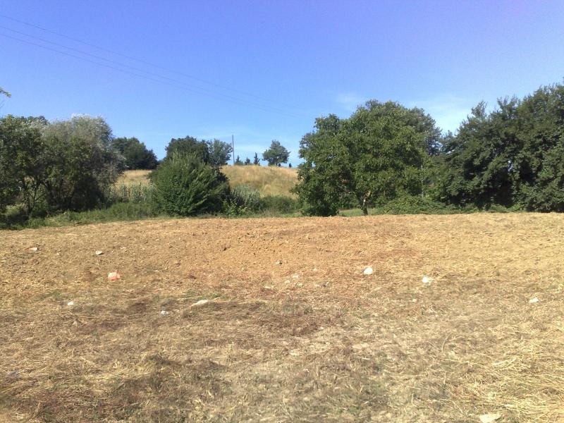 Terreno agricolo in vendita a Castiglion Fibocchi