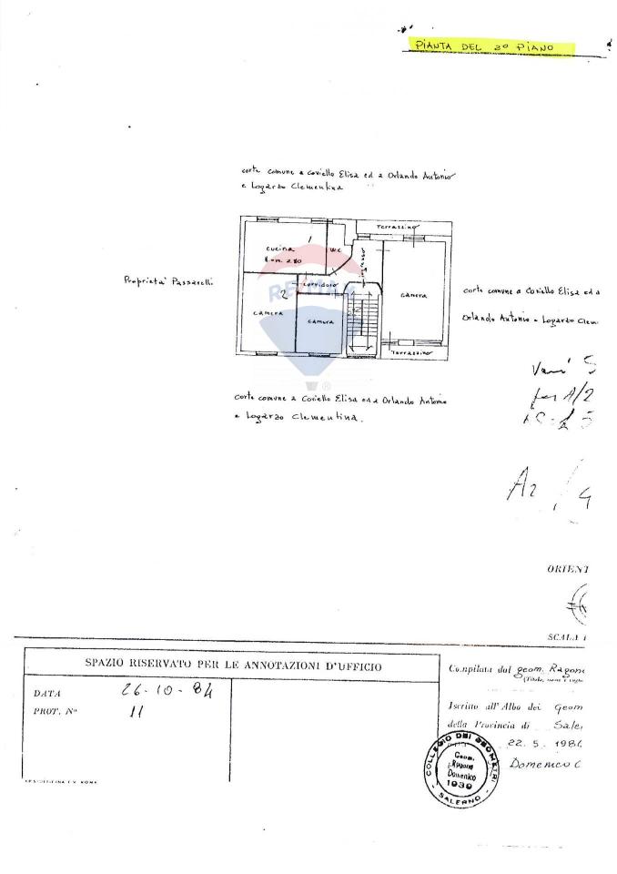 immagine annuncio 12 di 14