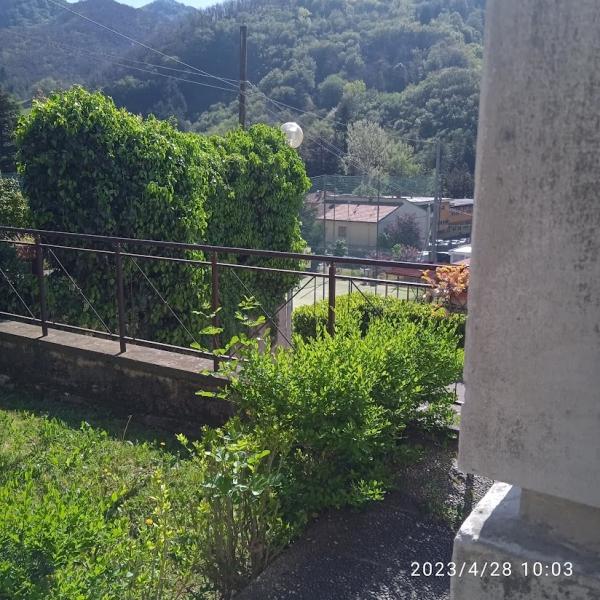 Foto 1