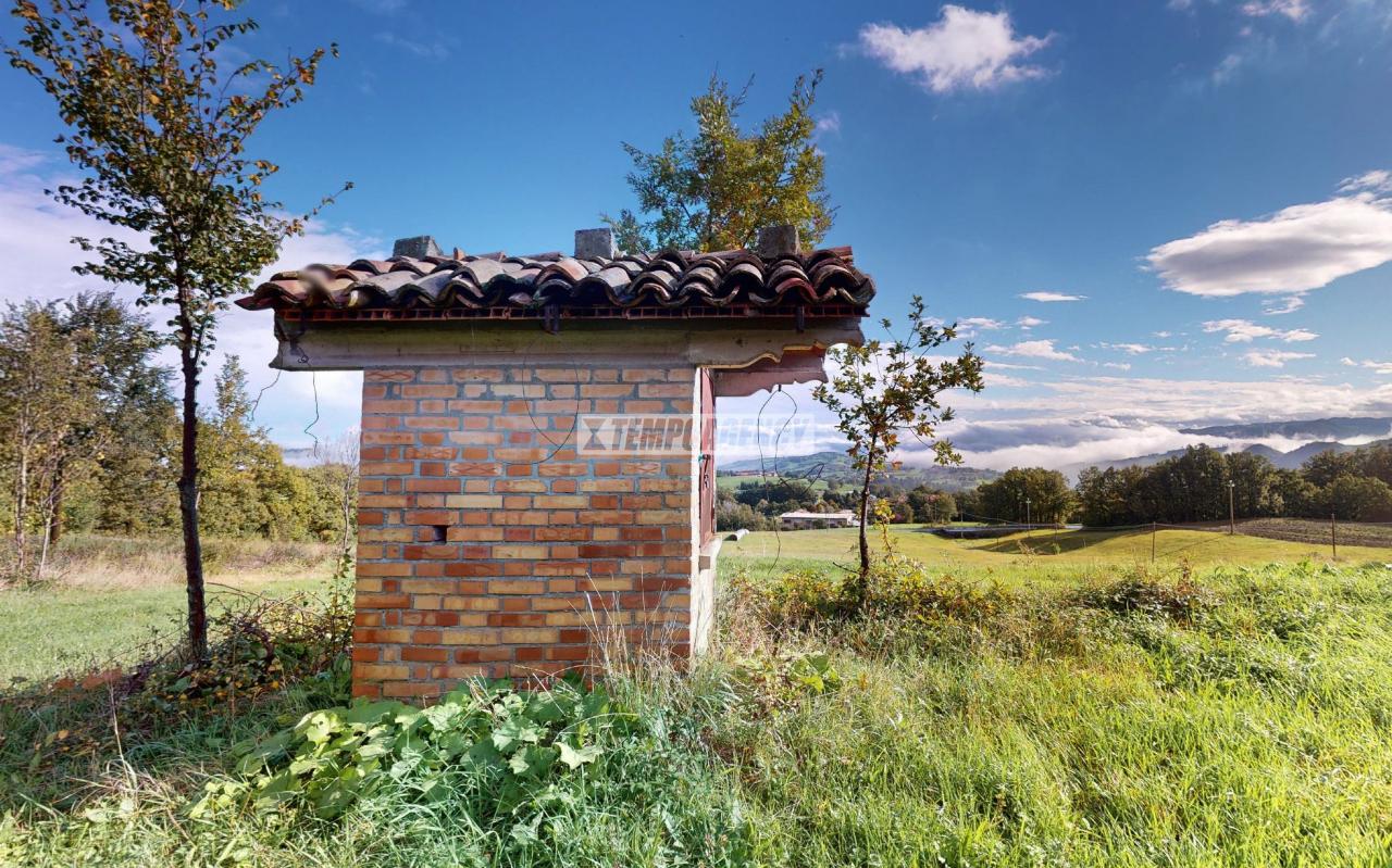 immagine annuncio 12 di 14