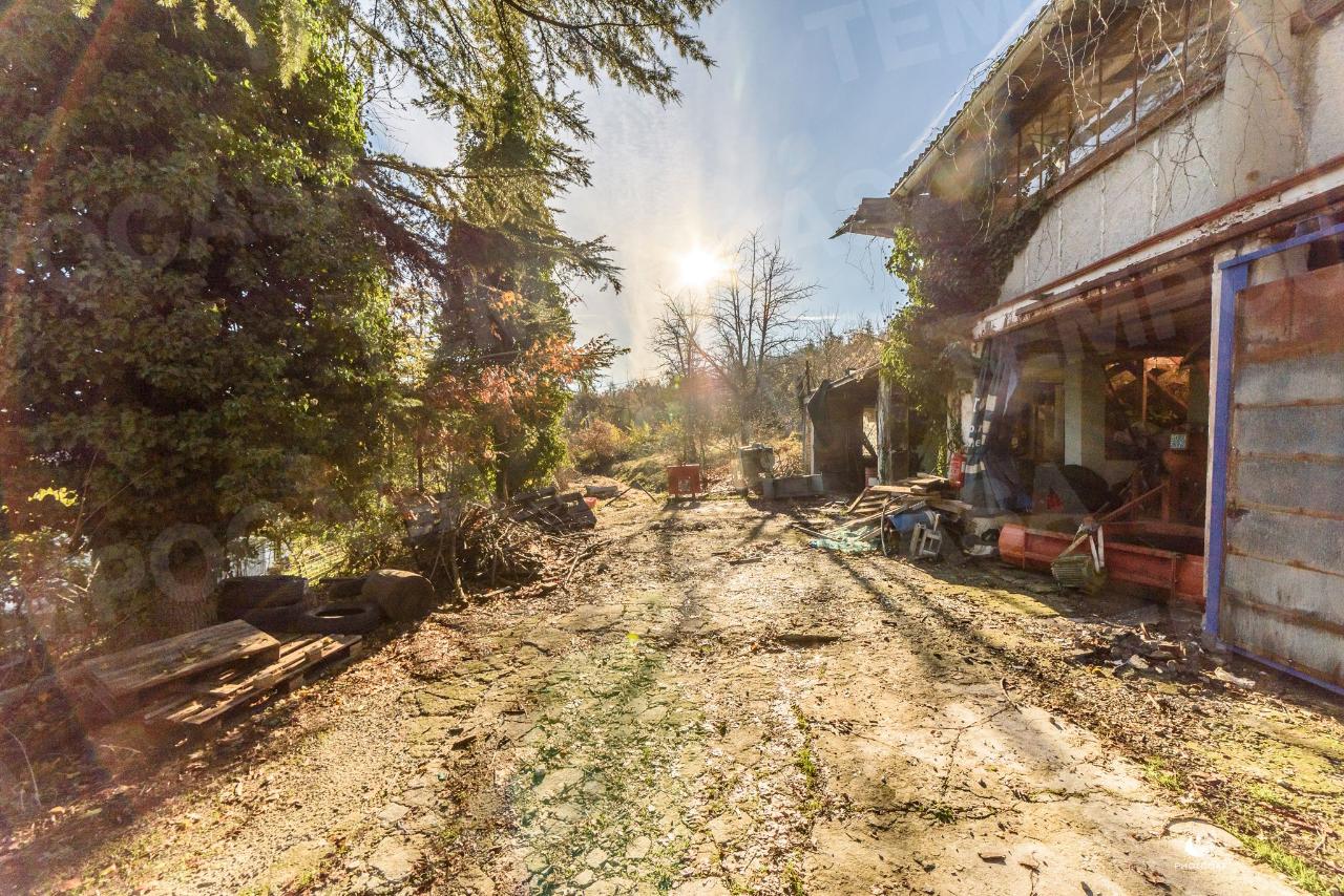 immagine annuncio 6 di 9