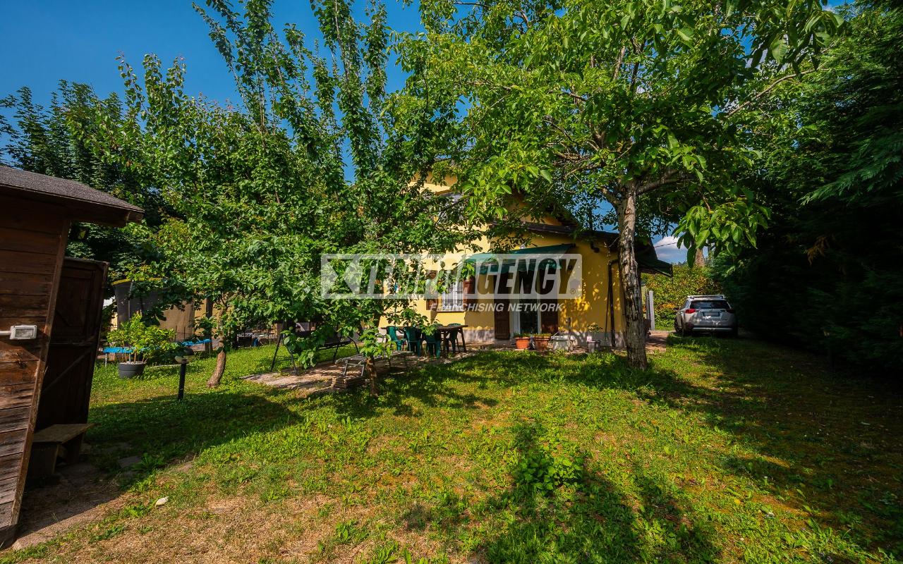 immagine annuncio 5 di 15