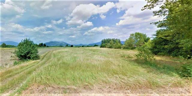 Agricultural land in {3}, Via Mammoli - Photo 1