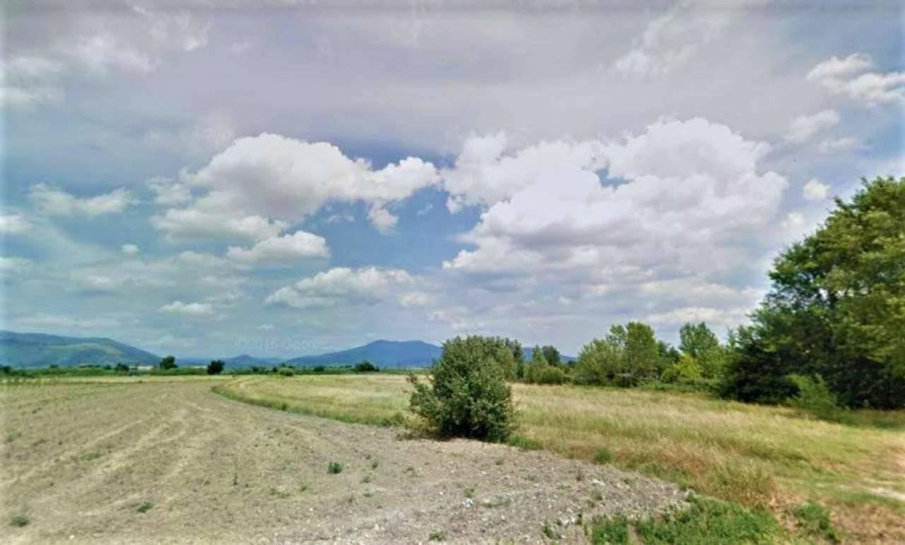 immagine annuncio 2 di 8