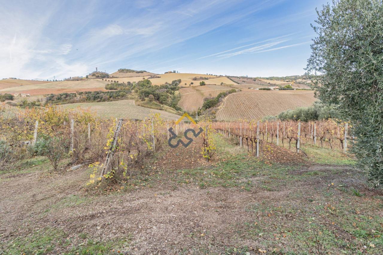 Terreno agricolo in vendita a Acquaviva Picena