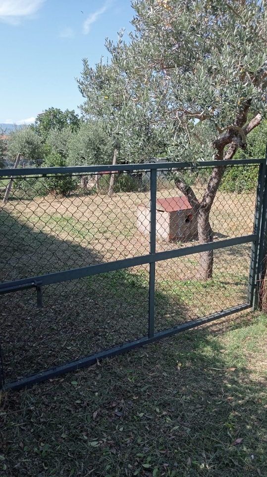 immagine annuncio 9 di 14