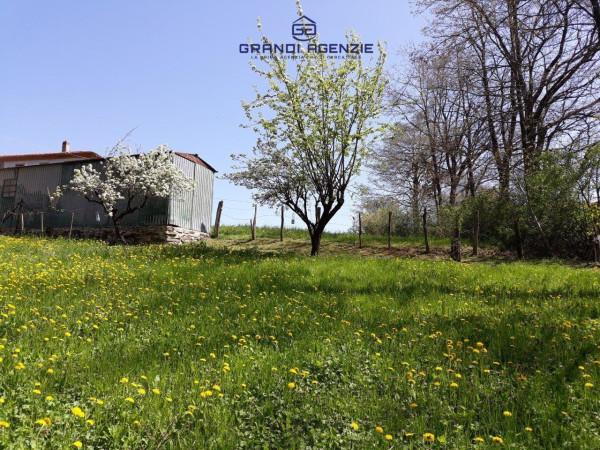 immagine annuncio 5 di 11