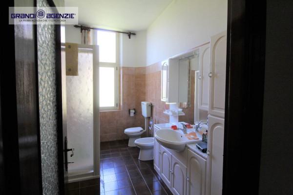 immagine annuncio 5 di 14