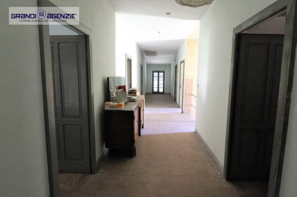 immagine annuncio 7 di 14