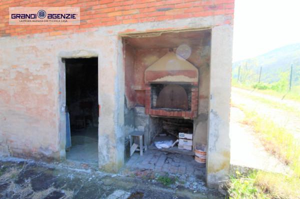 immagine annuncio 11 di 14