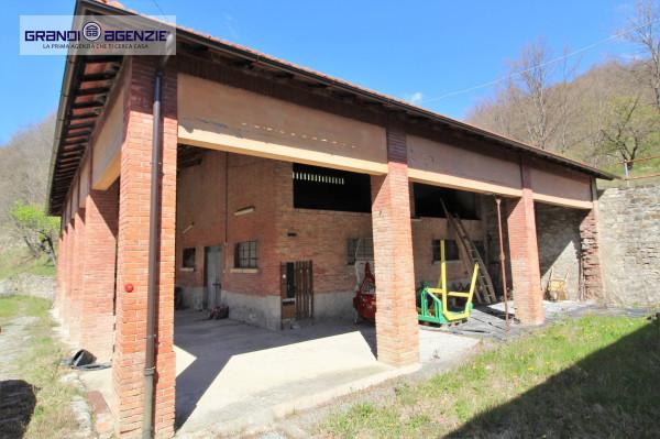 immagine annuncio 9 di 14