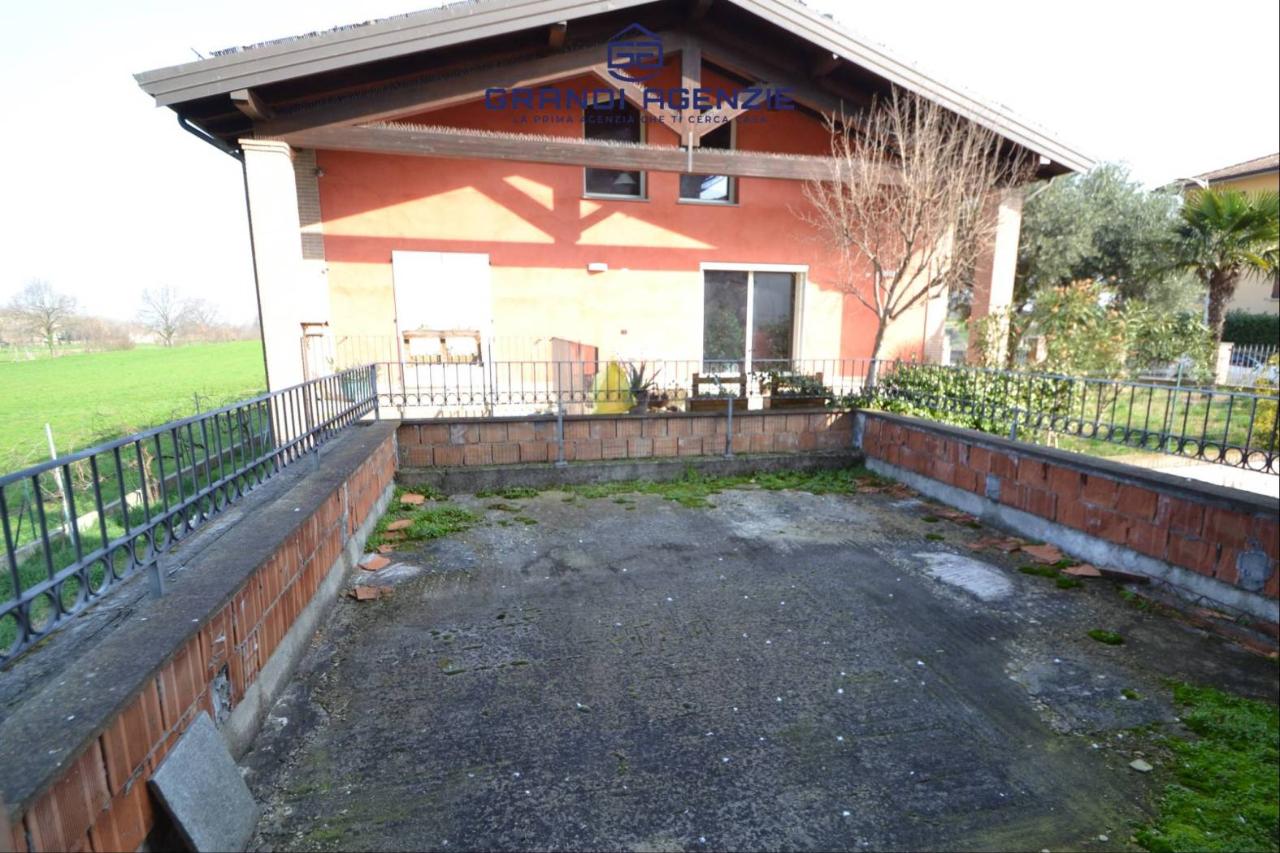 immagine annuncio 11 di 15