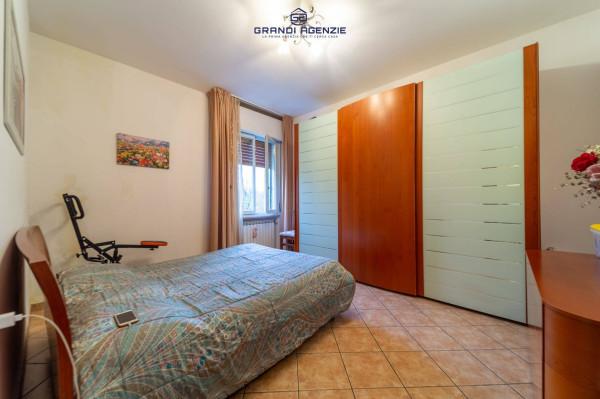 immagine annuncio 3 di 8