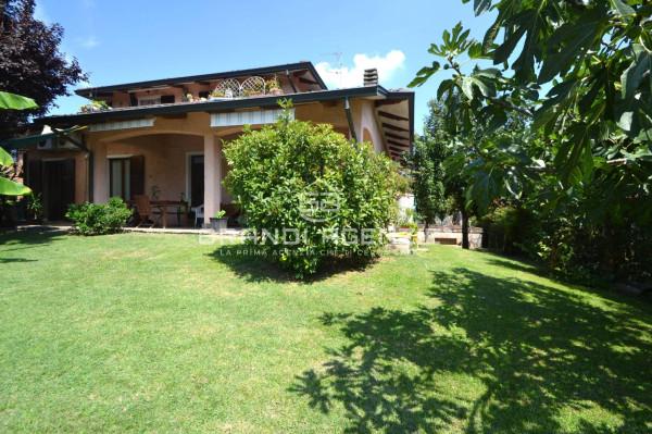 immagine annuncio 1 di 6