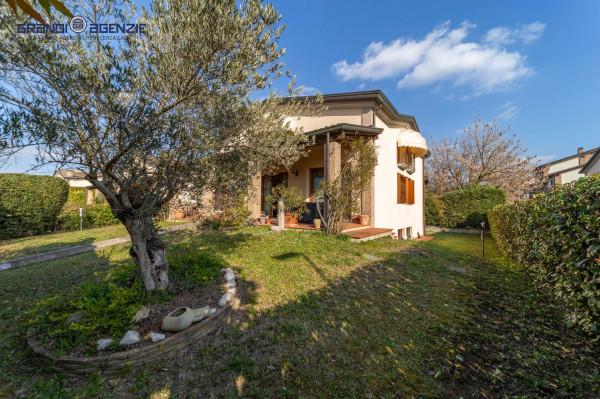 immagine annuncio 1 di 14