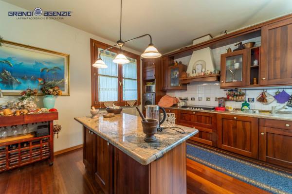 immagine annuncio 6 di 14