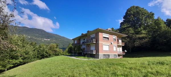 immagine annuncio 12 di 13