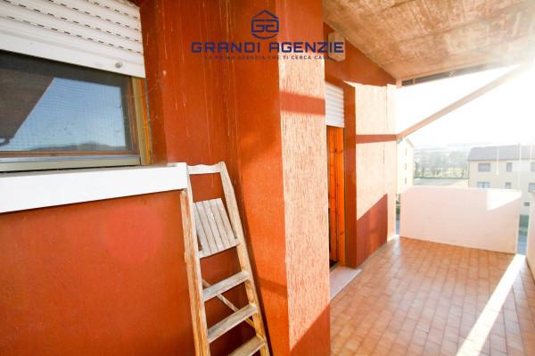 immagine annuncio 2 di 12