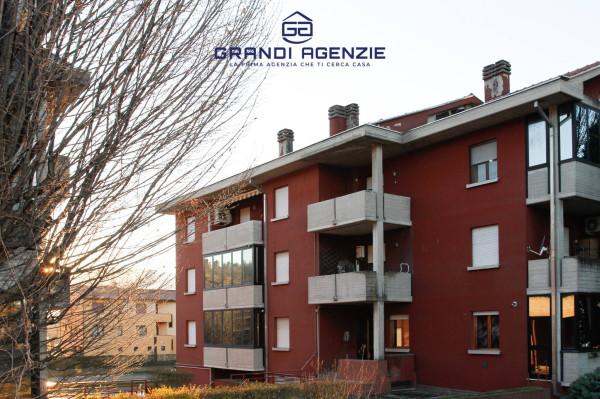 immagine annuncio 11 di 12